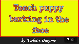 How to teach the dog to bark in the face | Online Dog Training by T. Oleynik