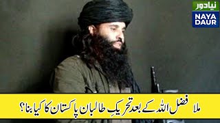 فضل الله کی ہلاکت کے بعد تحریک طالبان پاکستان کی قیادت واپس وزیرستان آ گئی