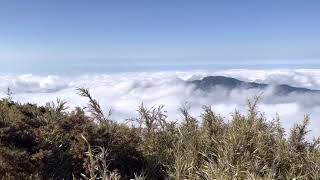 20210218-百岳-大霸行-Day2-前往加利山-雲海