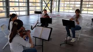 Danish String Quartet Last Leaf | Tjønneblomen (Water Lily)