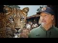A Village Under Attack by Leopards!