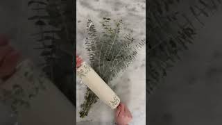 Eucalyptus Trick