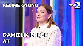 Kelime Oyunu: Damızlık Erkek At