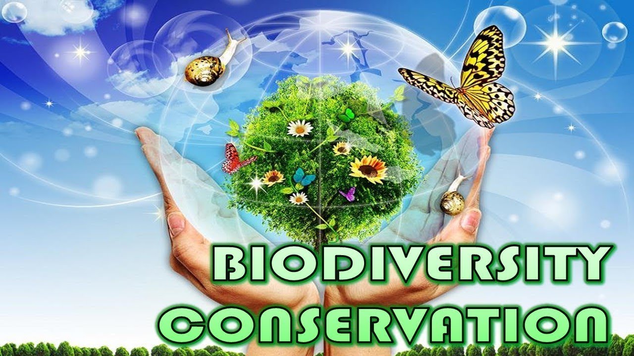 BIODIVERSITY CONSERVATION BY PROF T CHRISTOPHER REUBEN, DEAN, CHAITANYA ...