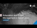 Climate Webinar: Adaptation and forest management in Great Lakes forests