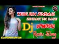 Tere Bin Zindagi Zindagi Na Lage Dj Vikram Parveen