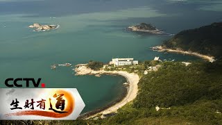 《生财有道》风情大亚湾 海趣浓郁味道鲜 20200629 | CCTV财经