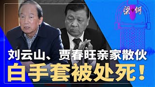 刘云山、贾春旺亲家散伙！刘家白手套被处死，习近平时代第二案！| #梁+何（405）