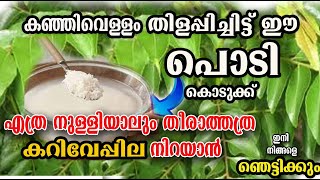 ഉണങ്ങിയ കറിവേപ്പ് ചെടി വരെ കാട് പോലെ വളരാൻ/ തിളച്ച കഞ്ഞി വെള്ളത്തിൽ ഈ പൊടി ഇട്ട് കൊടുക്ക്