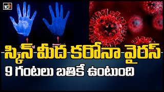 స్కిన్ మీద కరోనా వైరస్ 9 గంటలు బతికే ఉంటుంది | Coronavirus Can Survive 9 hrs On Skin | 10TV News