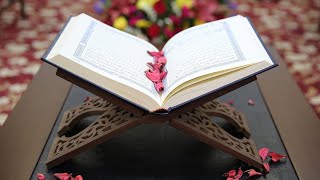 Peaceful Quran recitation || Calming peaceful Quran recitation ||  Subscribe for more amazing videos