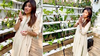 Shilpa Shetty Kundra Gives Netizens A Tour Of Her Home Garden