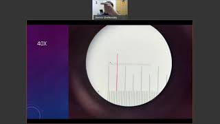 Microscope Calibration