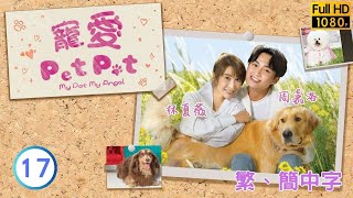 TVB愛情喜劇線上看 | 寵愛Pet Pet 17/20 | 林夏薇(惠婷)打算辭職避愛 |林夏薇 |周嘉洛 |粵語中字 |2003 |My Pet My Angel