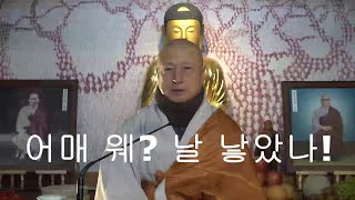 어매 왜? 날 낳았나!  (무애스님.마음공부.주인공.한마음)