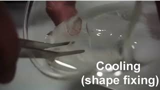 Shape Memory Polymers: Molecular and Material Mechanisms