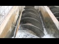 Archimedes screw pump