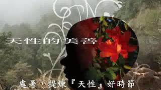 節氣易經．處暑，提煉『天性』好時節