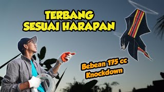 TERBANG PERTAMA LANGSUNG NGAMUK 😲⁉ Tes Terbang Perdana Layangan Bebean Knockdown 1,75 Meter.