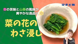 はまだ飯#45 春野菜の推しレシピ！おひたしの簡単出汁にワサビをプラスした”菜の花のわさ浸し”