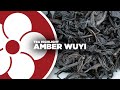 AMBER WUYI - The perfect everyday Wuyi Oolong!