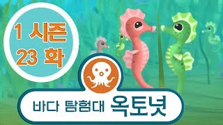 바다 탐험대 옥토넛 - 해마 이야기 (시즌1 에피소드23 - 전체에피소드)