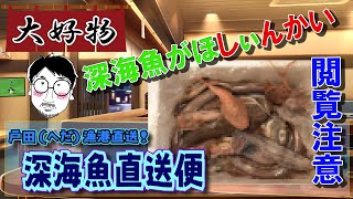 【閲覧注意】すー大将の一品入魂 Vol.29 戸田（へだ）漁港直送！深海魚直送便 (食べられません)