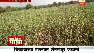 Gaon Tithe Majha - 730am : Renapur, Latur : Leopard Attcak : 17:05:2017