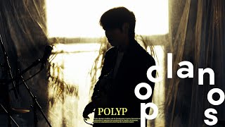 [Live] POLYP (폴립) - 새드무비 (Sad Movie), DAWN808 (나는 왜 이럴까), Haruki The Cat / Live Video