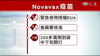 最快七月下旬開打 Novavax你該知道的事