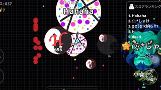 《agar.io アガリオ》ラッシュ野良と連携