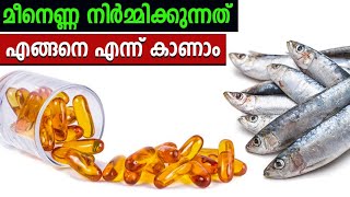 മീൻ എണ്ണ നിർമ്മാണം എങ്ങനെ എന്ന് കാണാം | Fish oil production