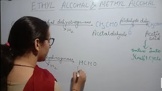 ETHYL ALCOHOL AND METHYL ALCOHOL | METHANOL POISONING | PART-1