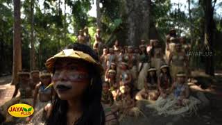 அமேசானை காக்க வேண்டி பழங்குடியினர் வழிபாடு | Tribes pray to end Amazon fires