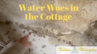 New Water Woes in the Cottage 💦 The Chateau Chronicles   Ep #124