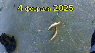 От таких рыб поломалась хапуга. Чуть не утопил бур #fishing #рыбалка #낚시 #обзор #carpfishing