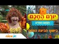 יורם החכם וקסם המדע: פרק 1 - כישוף הביצה הצפה | ניק ג'וניור