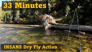 EPIC Dry Fly Fishing | Idaho Cutthroats | 10-day Fly Fishing and Van Camping Road Trip