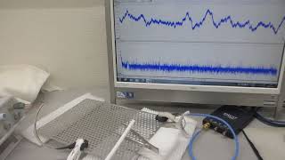 超音波伝搬実験（ステンレスパンチング板の表面を伝搬する弾性波の相互作用）