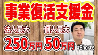 事業復活支援金/法人最大250万 個人最大50万 #Shorts