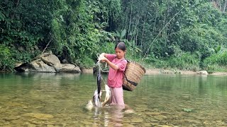 Fishing trap setting skills harvested 13kg of stream fish for sale, orphan girl Thao went fishing ❤️