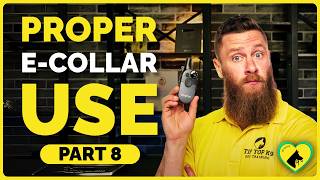 Ecollar Dog Training Explained | Day 1 Ecollar Conditioning That Works