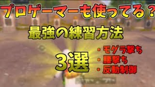 【上達】プロゲーマーも使ってる？最強の練習方法「3選」【PUBGモバイル】【PORU】