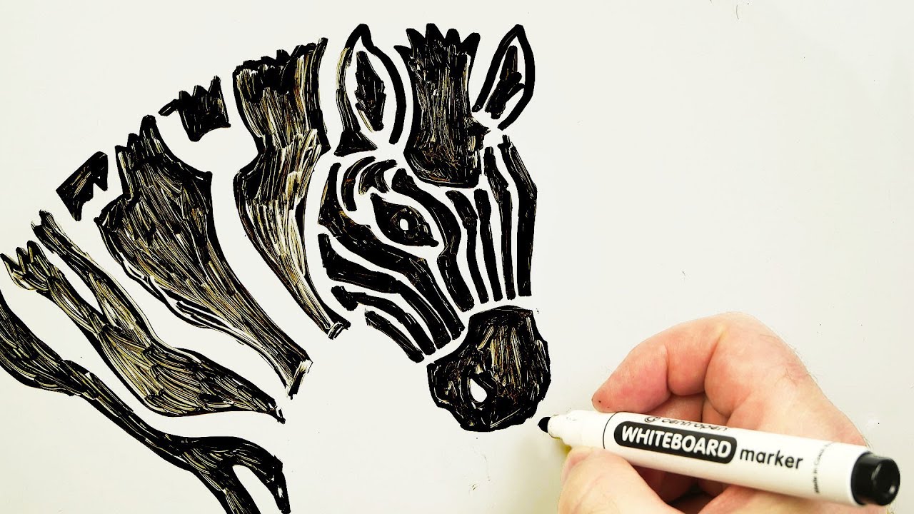 Zebra Head Drawing Step By Step