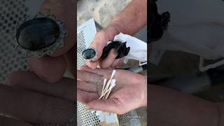 Wow 🤩 Beach Treasure Hunt: From Precious Gem to Tons of Trash! #treasuresearch