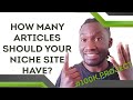 Niche Site Case Study: 100K Project (How Many Articles Should Your Niche Site Have?)