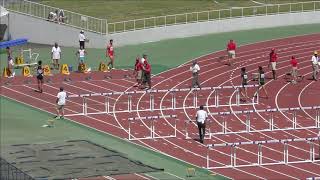 H30　関東選手権　男子110mH　準決勝2組