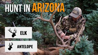 Arizona Elk Pronghorn Application Strategy