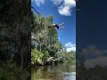 Bro did a backflip out of the tree #shorts #shortsvideo