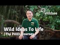 Wild Ideas To Life | The PIXEL Journey